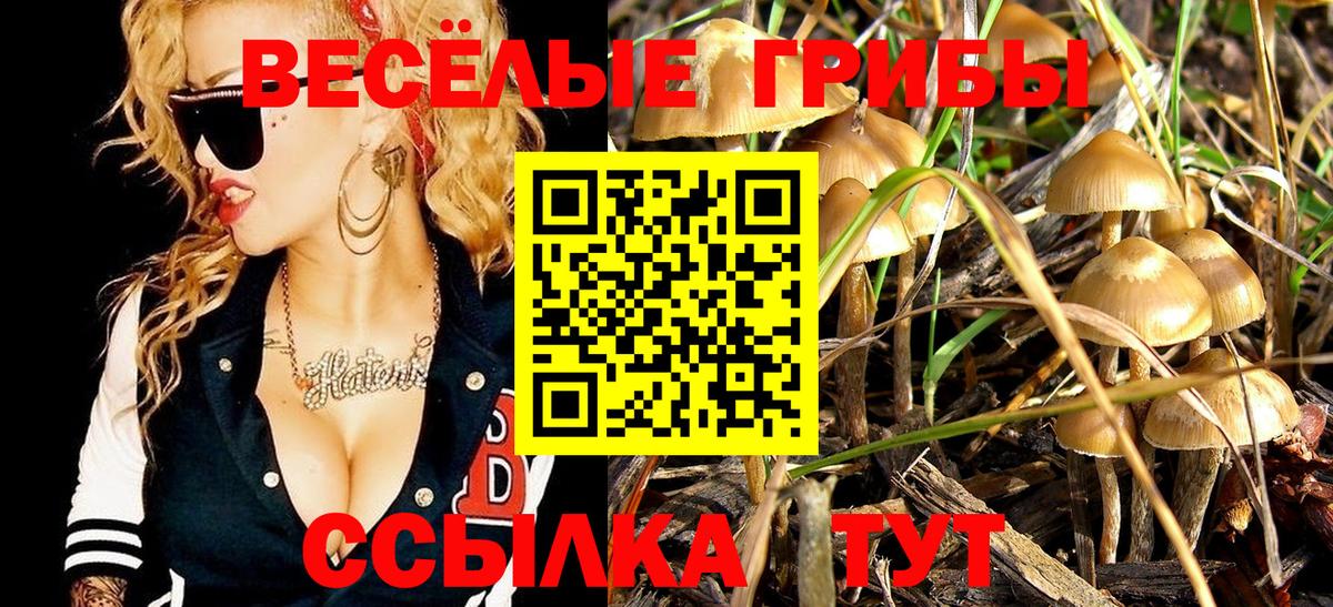 Галлюциногенные грибы мухоморы Медногорск