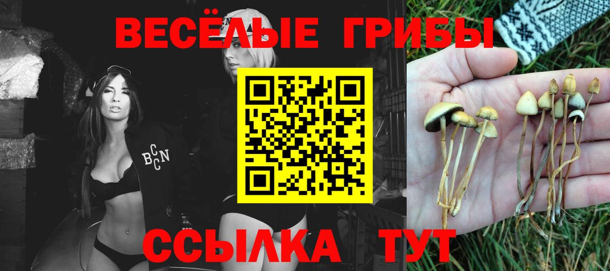 Псилоцибиновые грибы ЛСД  Галлюциногенные грибы GOLDEN TEACHER  Медногорск  купить закладку  Вход с VPN 